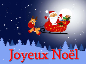 JOYEUSES FETES DE NOEL 2021